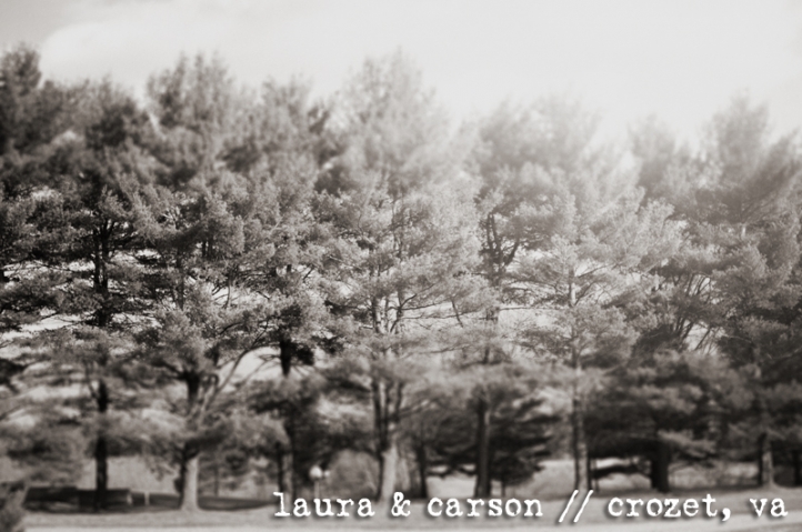 laura and carson's rustic winter wedding charlottesville creative wedding