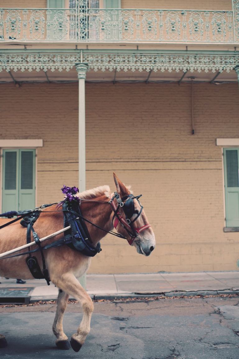 new orleans creative travel photographer