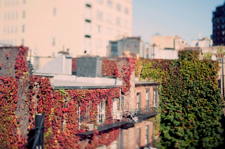 west village new york // joyeuse photography