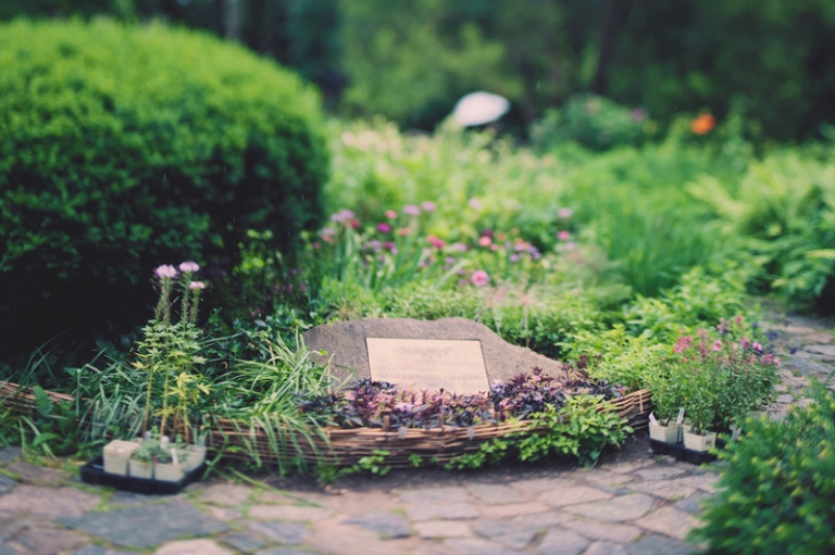 shakespeare garden central park // joyeuse photography
