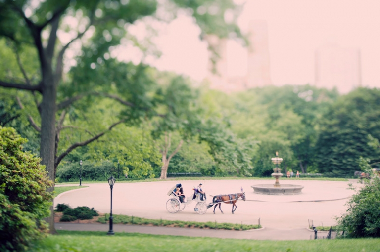 central park elopement photography // joyeuse photography