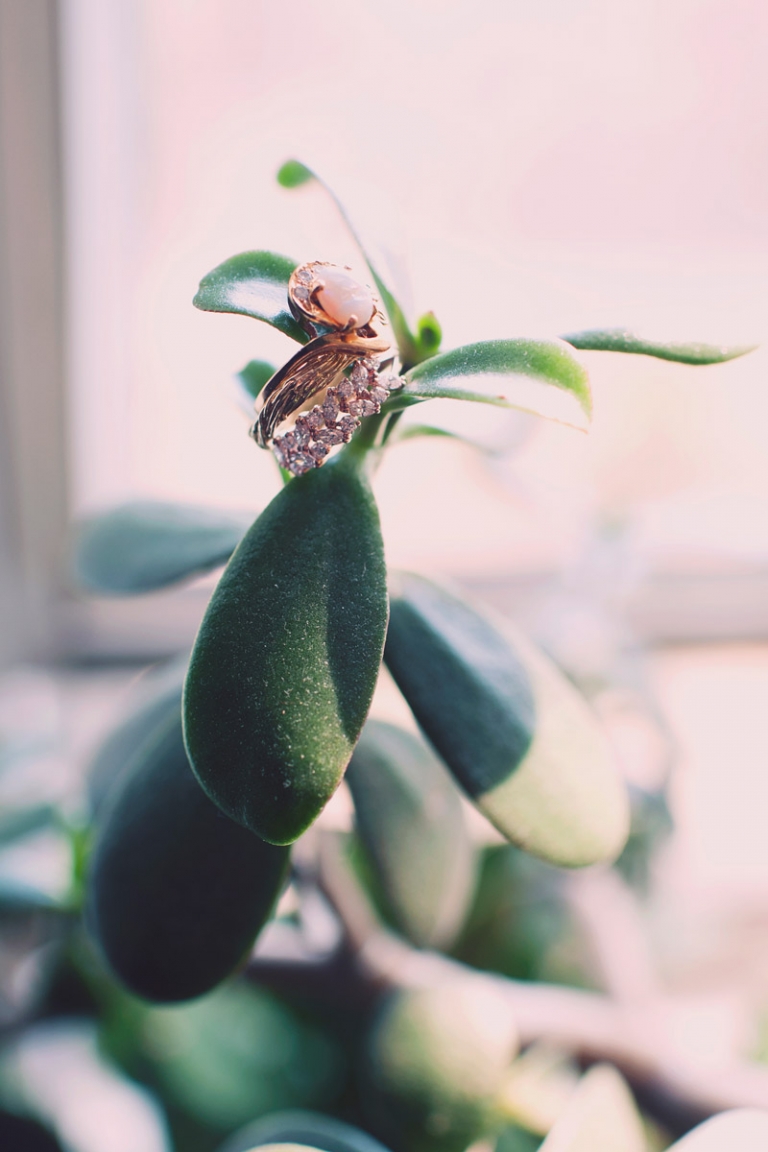 vintage engagement ring - joyeuse photography