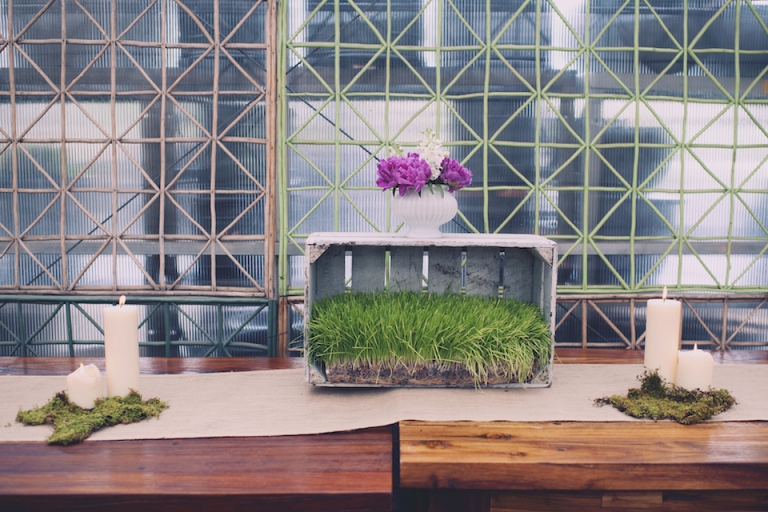 botanical wedding joyeuse photography